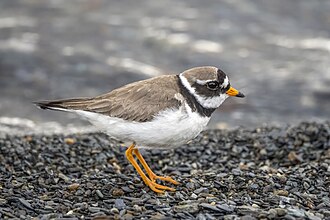Plover, Wisconsin